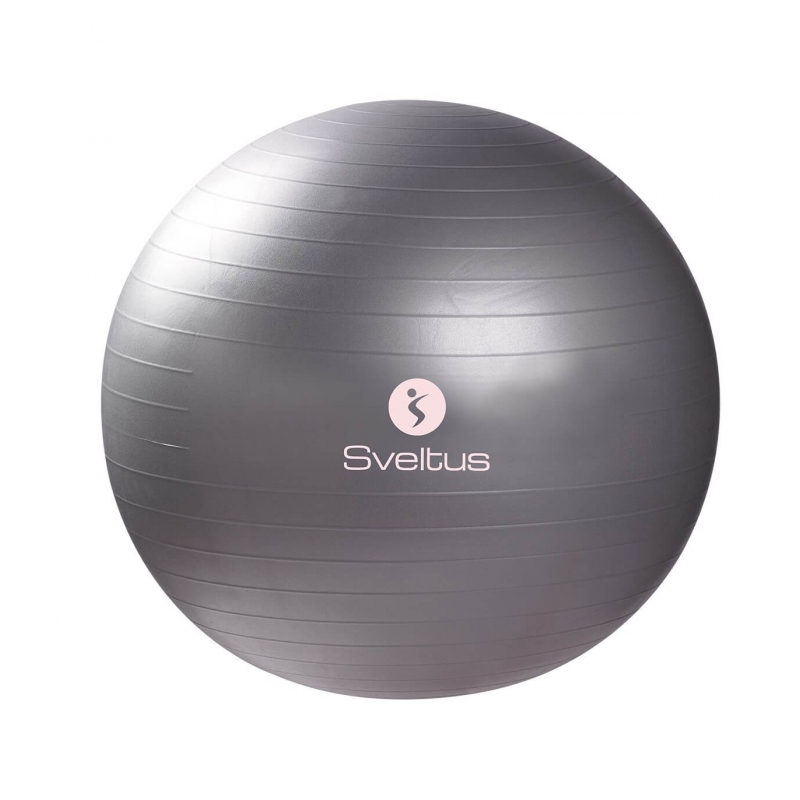 GYM BALL Ø 65