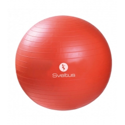 GYM BALL Ø55