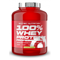 100 % WHEY PROFESSIONNEL