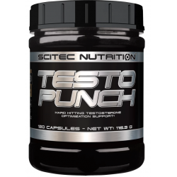 TESTO PUNCH