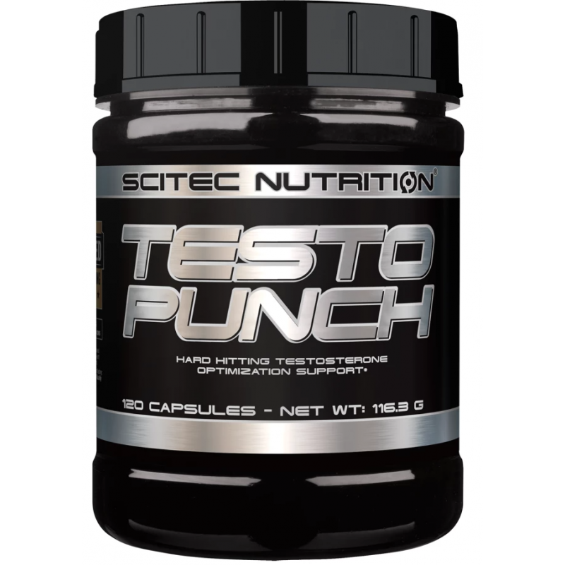 TESTO PUNCH