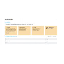 bcaa 4.1.1