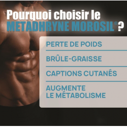 metadhryne avec morosil