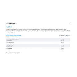 TESTOSTERONE BOOSTER